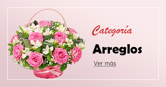 Categoria Arreglos