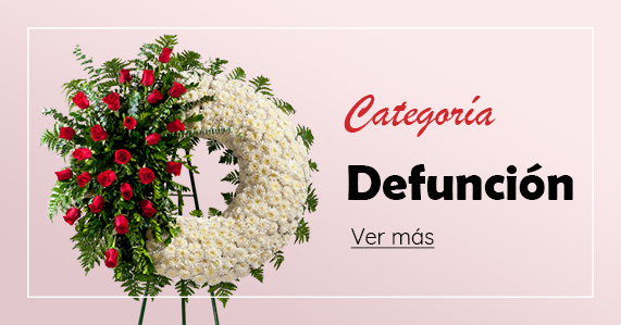 Categoria Defuncion