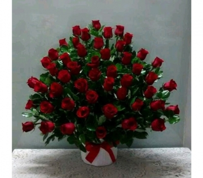 Rosas 10