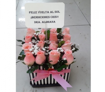 Rosas 14