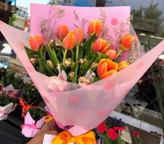 Tulipanes 2