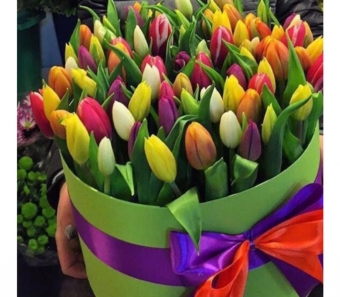 Tulipanes 7